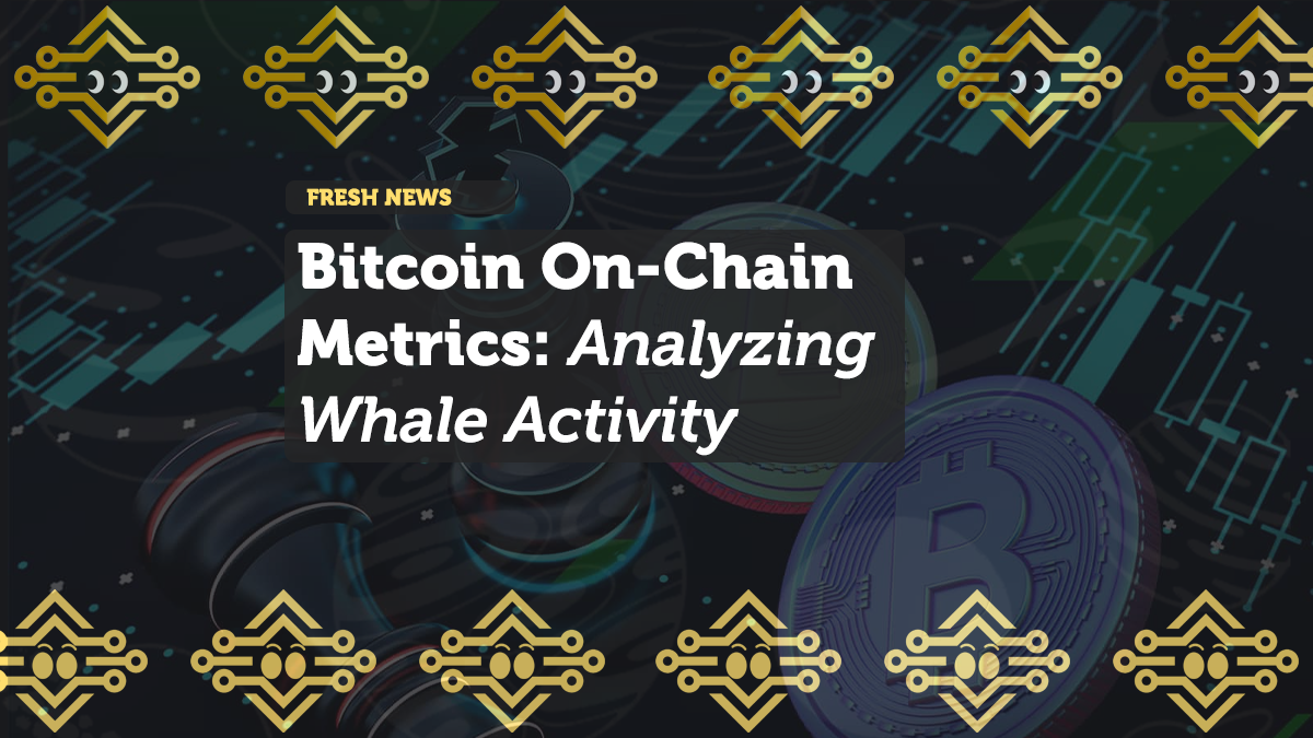 Bitcoin On-Chain Metrics: Analyzing Whale Activity