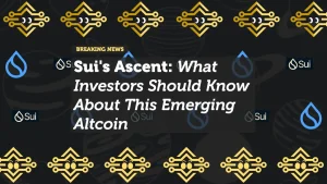 Sui's Ascent: What Investors Should Know About This Emerging Altcoin