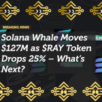Solana Whale Moves $127M as $RAY Token Drops 25% – What’s Next?