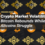 Crypto Market Volatility: Bitcoin Rebounds While Altcoins Struggle