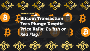 Bitcoin Transaction Fees Plunge Despite Price Rally: Bullish or Red Flag?