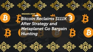 Bitcoin Reclaims $111K After Strategy and Metaplanet Go Bargain Hunting