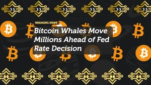 Bitcoin Whales Move Millions Ahead of Fed Rate Decision