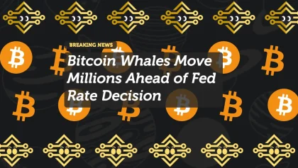 Bitcoin Whales Move Millions Ahead of Fed Rate Decision