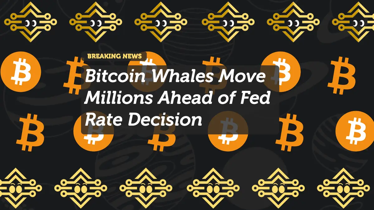 Bitcoin Whales Move Millions Ahead of Fed Rate Decision