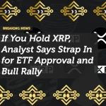If You Hold XRP, Analyst Says Strap In for ETF Approval and Bull Rally