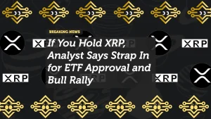 If You Hold XRP, Analyst Says Strap In for ETF Approval and Bull Rally