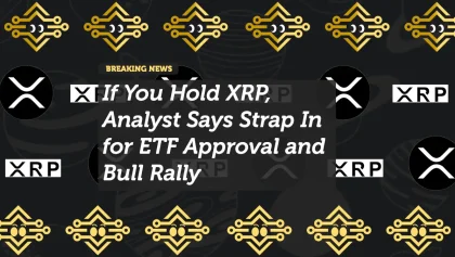 If You Hold XRP, Analyst Says Strap In for ETF Approval and Bull Rally