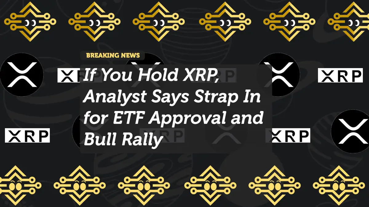 If You Hold XRP, Analyst Says Strap In for ETF Approval and Bull Rally