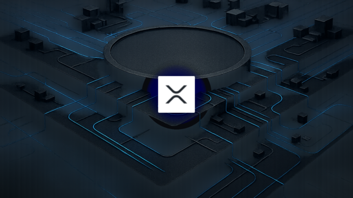 XRP: Unveiling Hidden Bugs and Market Dynamics